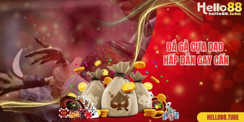 Bật mí thông tin giới thiệu chung về loại hình đá gà cựa dao